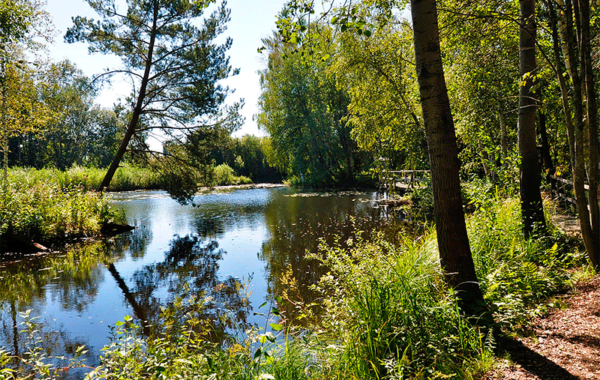 Der Natur auf der Spur