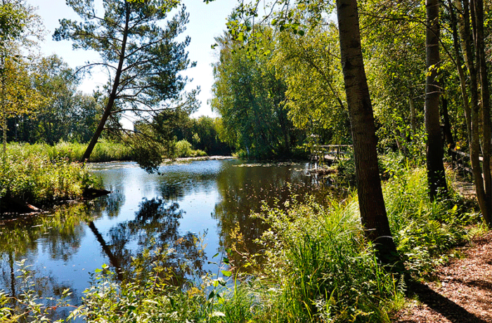 Der Natur auf der Spur